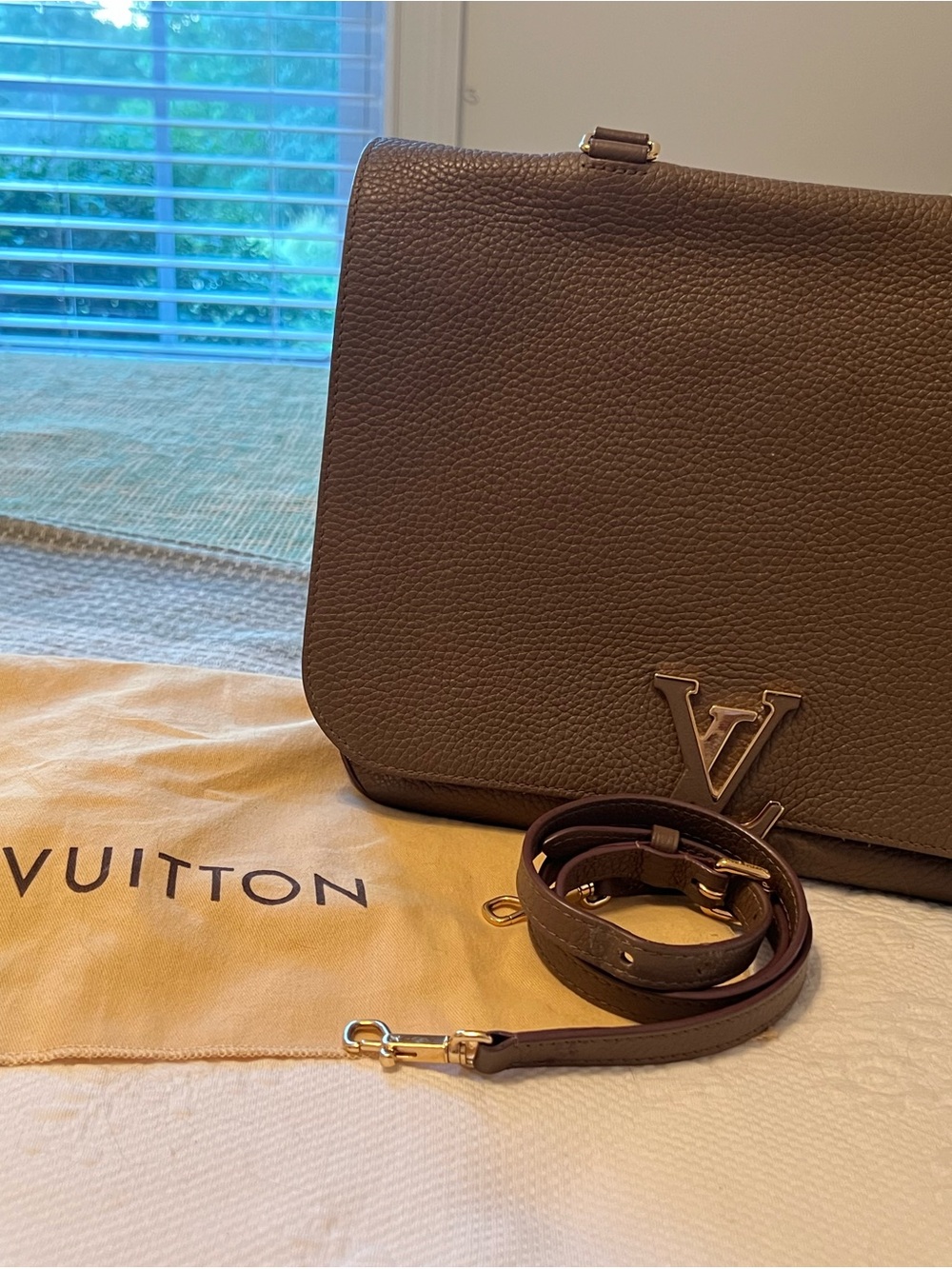 Louis Vuitton Volta Taurillon Pebbled Leather Shoulder Bag with Gold LV Hardware